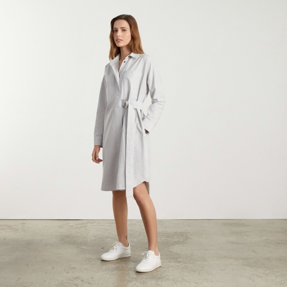 EVERLANE The Oxford Shirtdress size M
